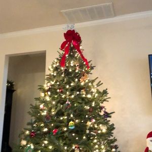 Meet your Posher, Bonnie